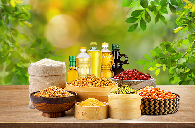 Grain and oil industry